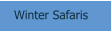 Winter Safaris
