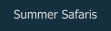 Summer Safaris