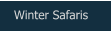 Winter Safaris