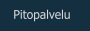 Pitopalvelu