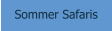Sommer Safaris
