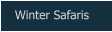 Winter Safaris