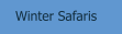 Winter Safaris