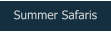 Summer Safaris