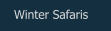 Winter Safaris