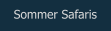 Sommer Safaris