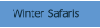 Winter Safaris