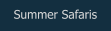 Summer Safaris