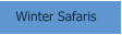Winter Safaris