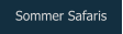 Sommer Safaris