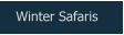 Winter Safaris