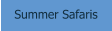 Summer Safaris