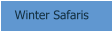 Winter Safaris