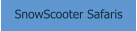 SnowScooter Safaris