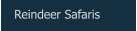 Reindeer Safaris