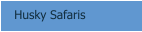 Husky Safaris