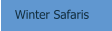 Winter Safaris