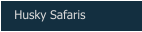 Husky Safaris