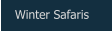 Winter Safaris