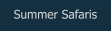 Summer Safaris
