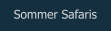 Sommer Safaris