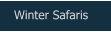 Winter Safaris